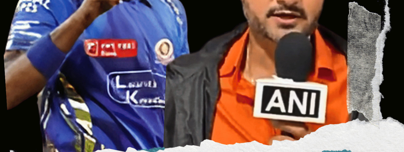 cricketerinsights.site