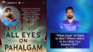 cricketerinsights.site