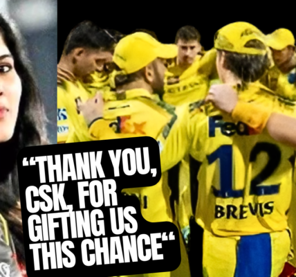 cricketerinsights.site