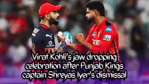 cricketerinsights.site