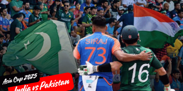 cricketerinsights.site