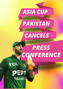 cricketerinsights.site