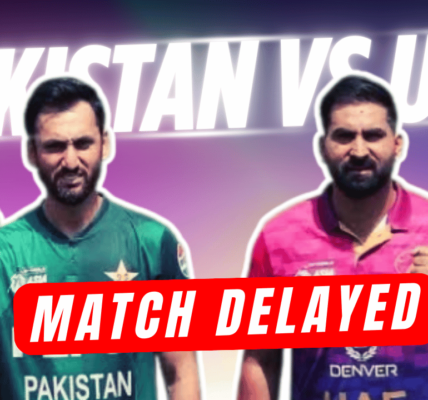 cricketerinsights.site