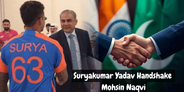 cricketerinsights.site
