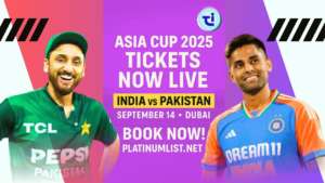 cricketerinsights.site