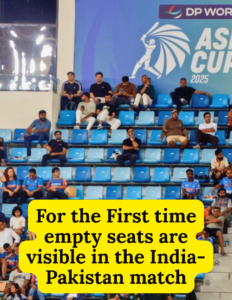 cricketerinsights.site
